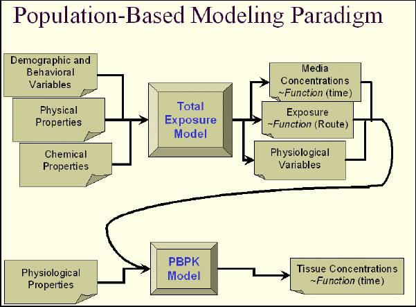 Overview Of The Total Exposure Model